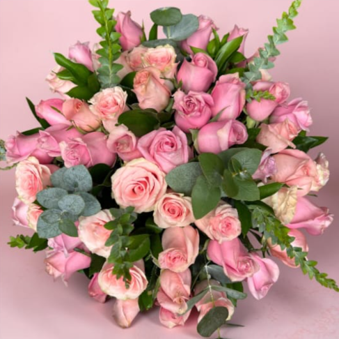 Esencia Rosa 50