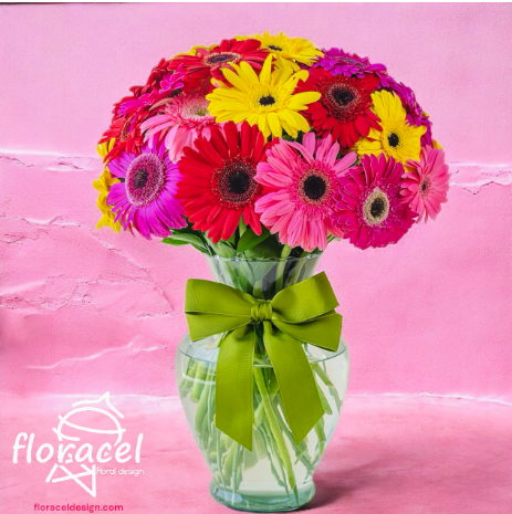Jarrón de 24 Gerberas coloridas