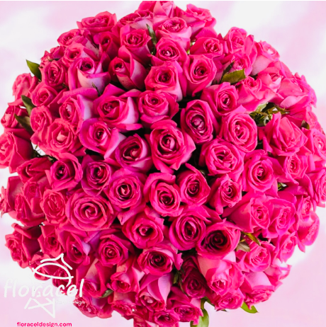 Cilindro de 100 rosas Fiusha