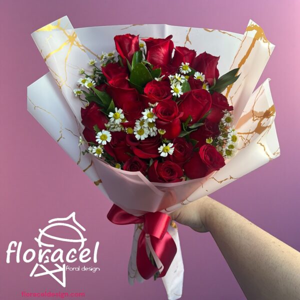 Ramo de una vista 24 rosas rojas